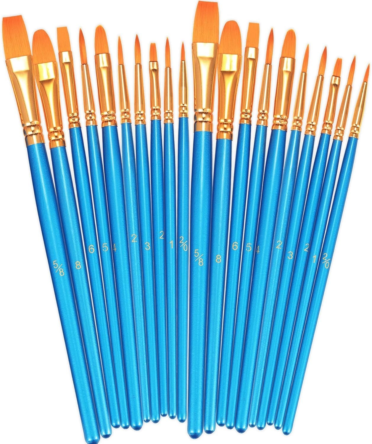 20 Pcs Paint Brushes Set Nylon Artist Brushes for Acrylic Watercolor Art