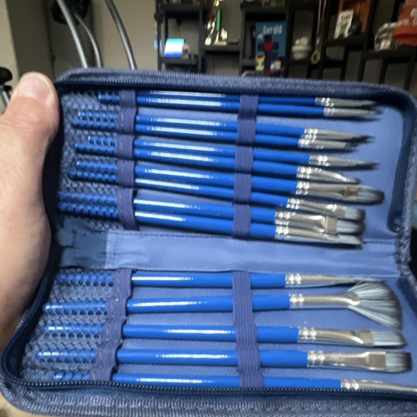 Blue Artists’ Brush Set Assorted Sizes Short Handles Flat Round Fan Filbert Case