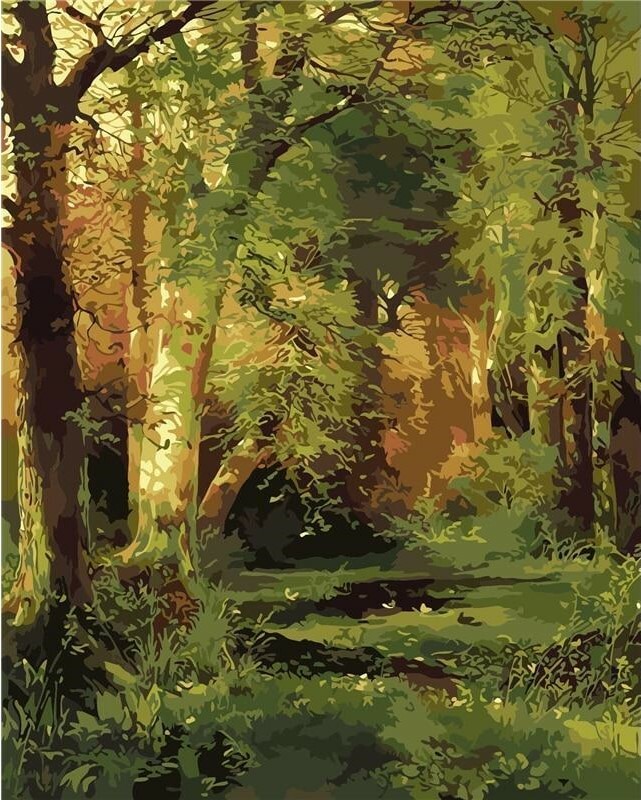 USA – DIY Paint by Number Kit Acrylic Painting Home Decor – Forest Scene