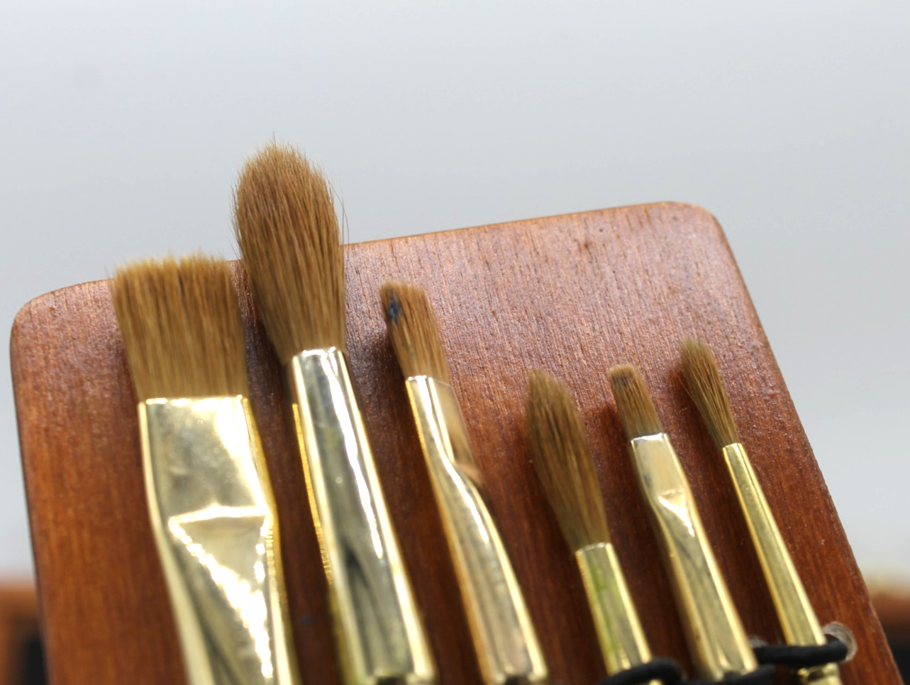 Escoda Reserva Kolinsky-Tajmyr Sable Brushes, Long Handle – Set of 6 – Great