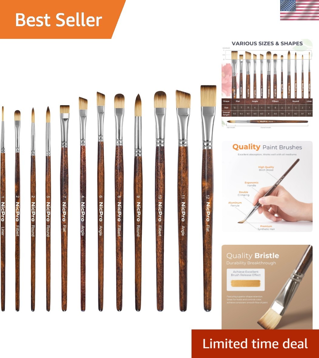 12PCS Artist Paint Brush Set, Craft Paint Brushes for Acrylic Painting, Oil, …