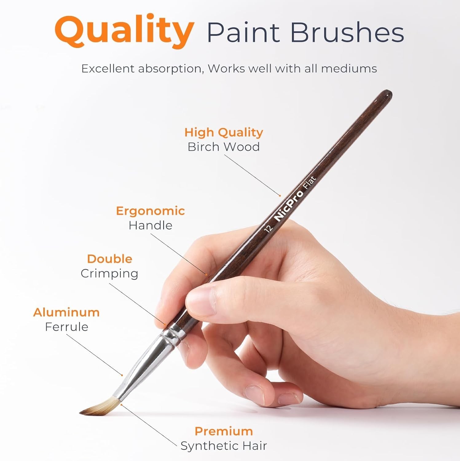 12PCS Artist Paint Brush Set, Craft Paint Brushes for Acrylic Painting, Oil, …