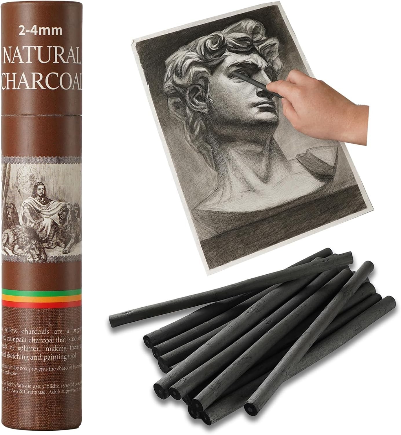 25 PCS Willow Charcoal Sticks Ideal for Artists Beginners Students Perfect fo…