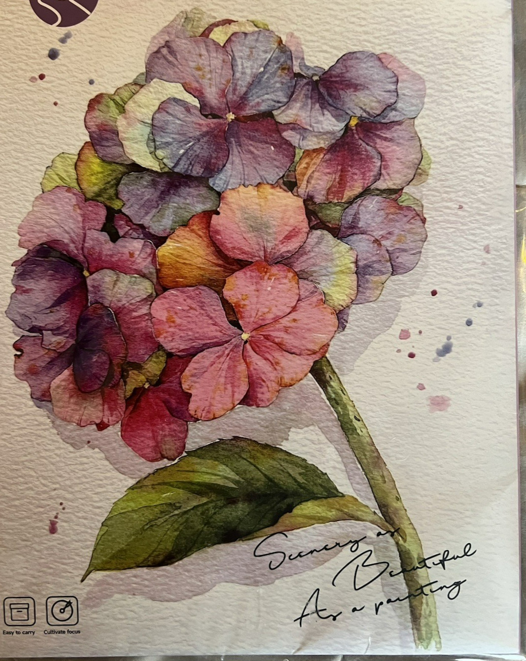 Yuelu Set of 4 Watercolor Painting Flower Cards with Paint Just Add Water NIP