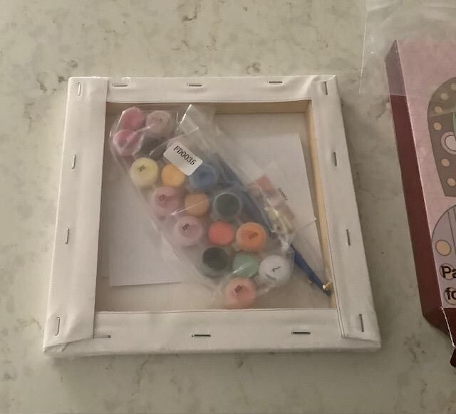 NEW IN BOX, PINOT & PICASSO PAINT BY NUMBER PAINTING KIT- FULL KIT AGES 13+