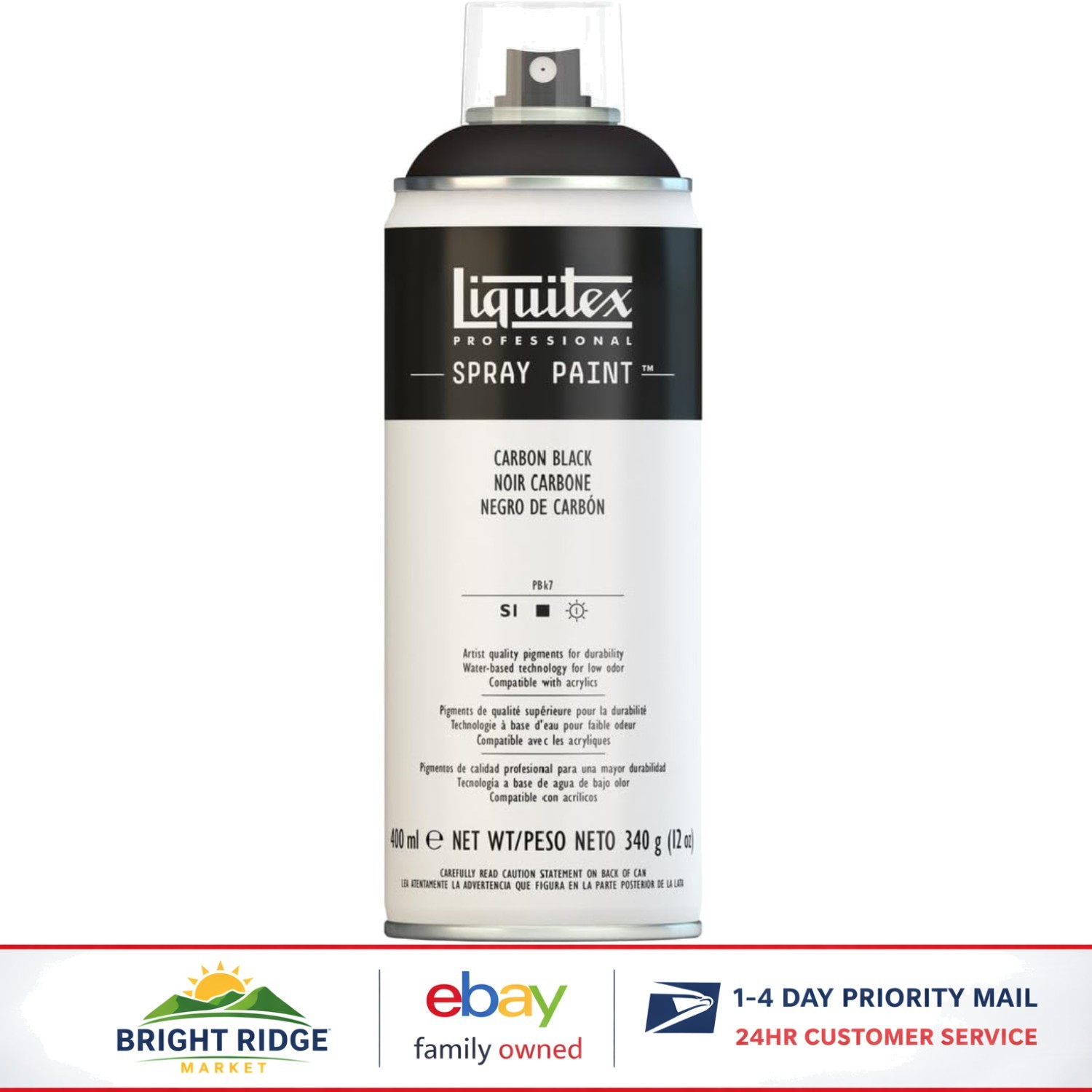 Professional Acrylic Spray Paint, 12oz Can for Interior and Exterior Use