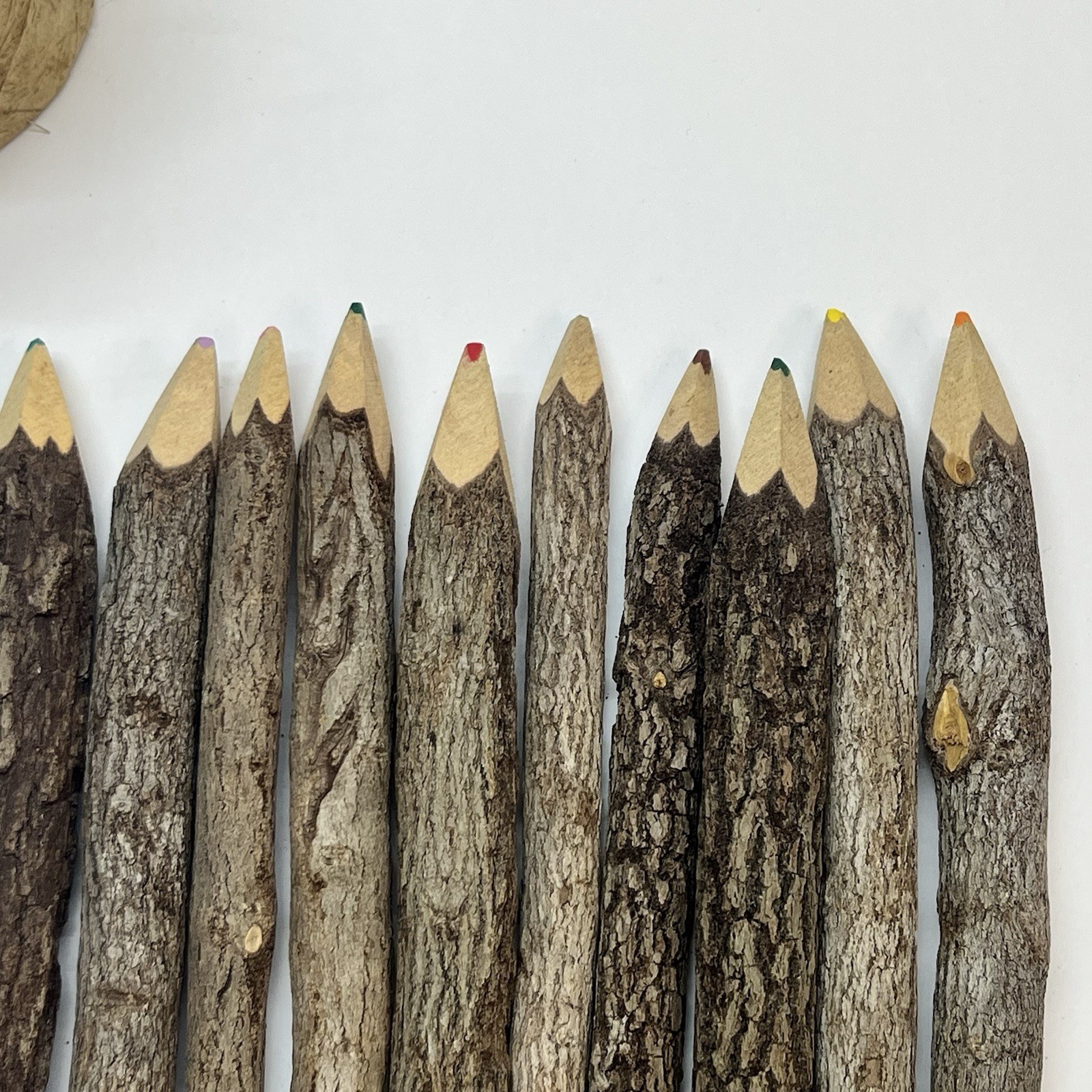 colored pencil set made from real natural twig tree bark crafts rustic