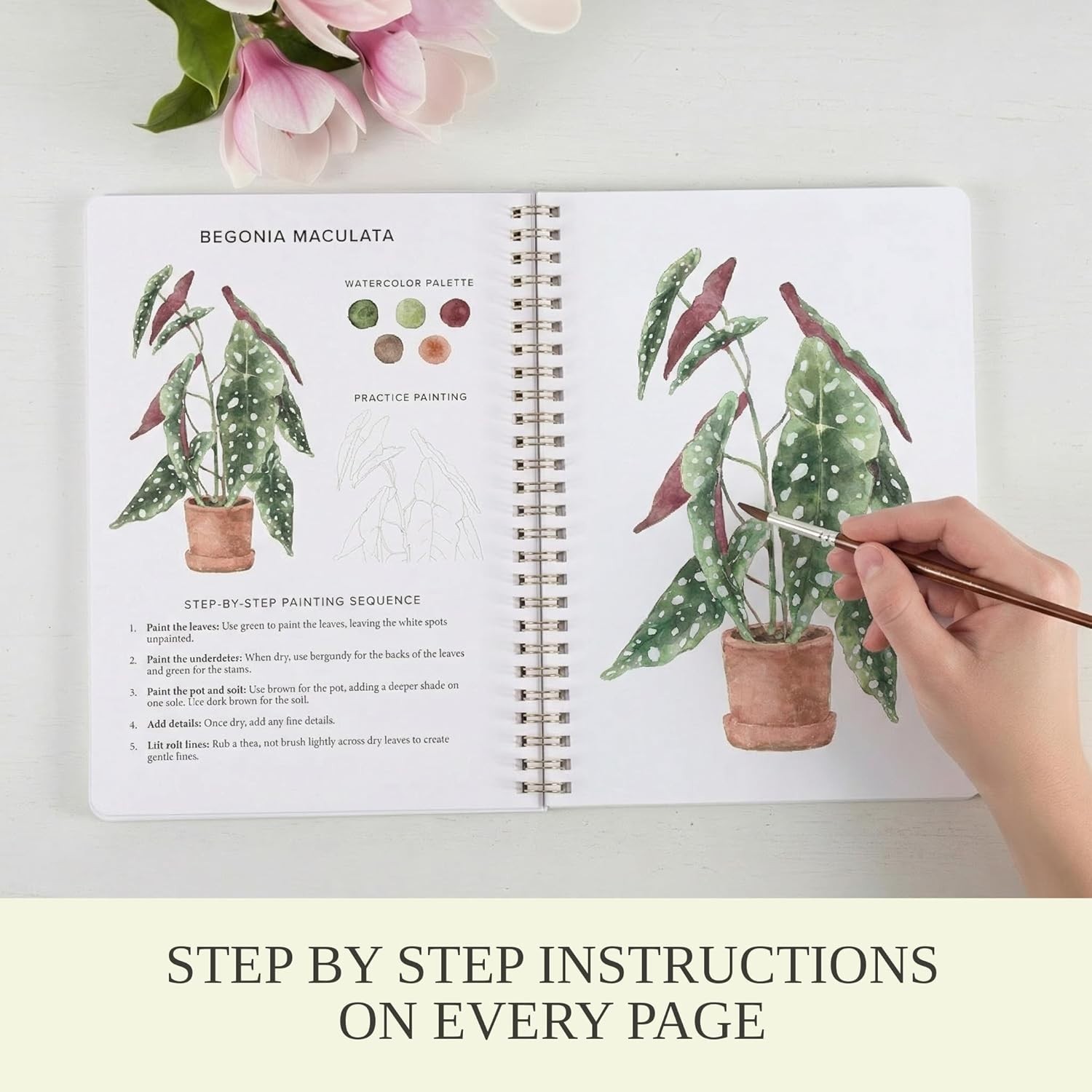 Beginner Watercolor Painting Book 12 Designs Guided Art Activity Workbook