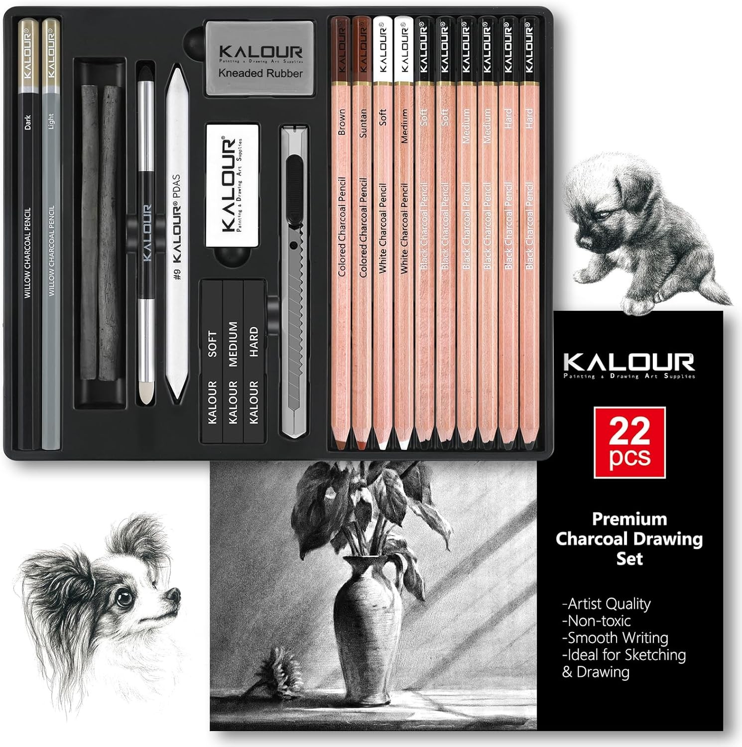 22pcs Charcoal Drawing Set Professional Art Supplies Black White Charcoal