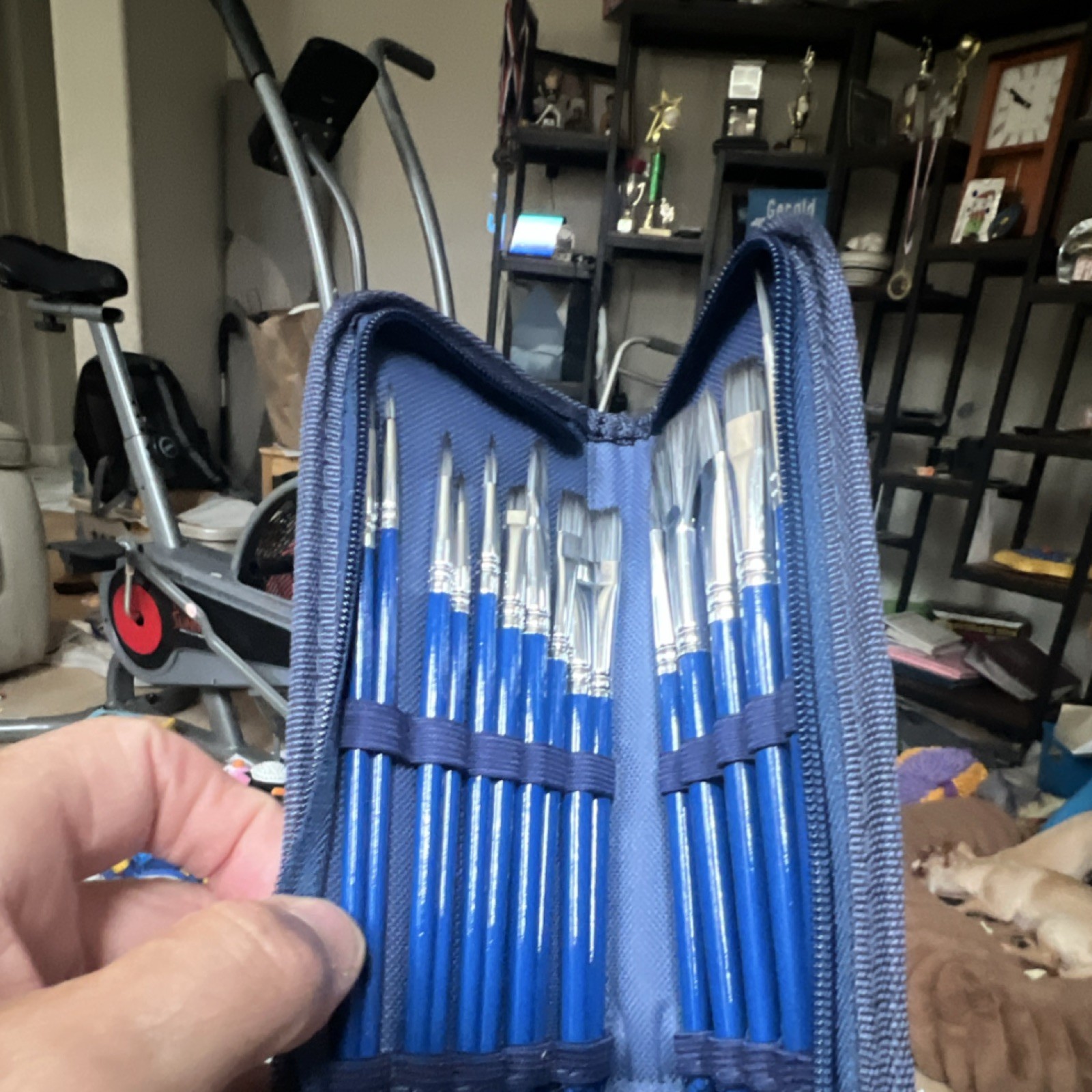 Blue Artists’ Brush Set Assorted Sizes Short Handles Flat Round Fan Filbert Case