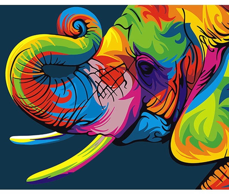 Paint By Numbers DIY Kit Colourful Elephant 40CMx50CM Canvas